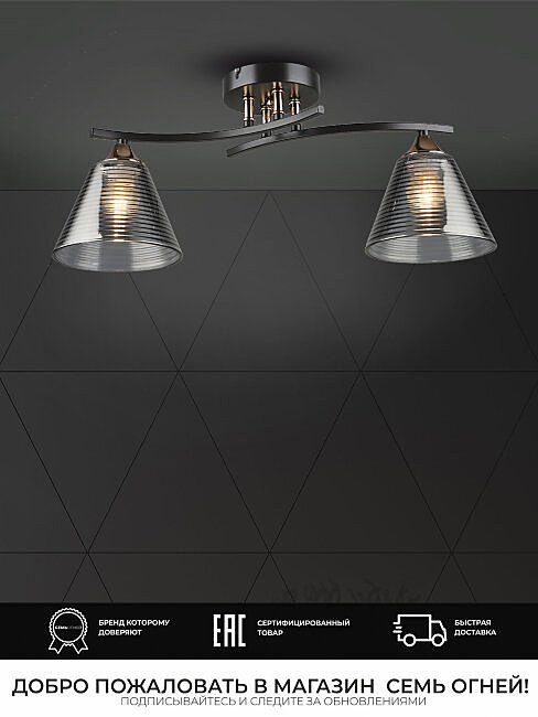 Потолочная люстра Wedo Light Dorika WD3636/2C-CF-FGD-SMK