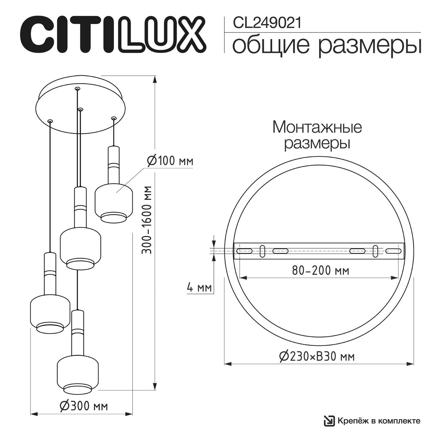 CL249021 Подвесной светильник LASS Citilux CL249021