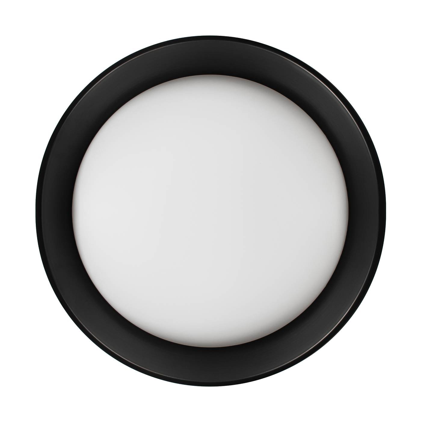 Светильник потолочный Loft It Coin 10202 BB