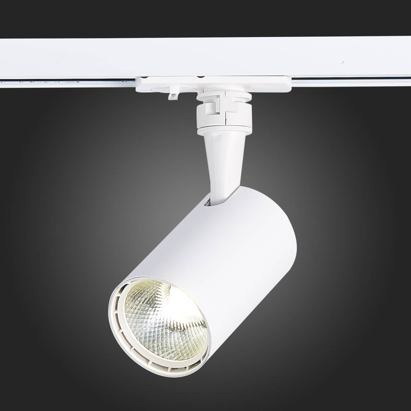 ST351.536.10.36 Трековый светильник ST Luce Cami ST351.536.10.36