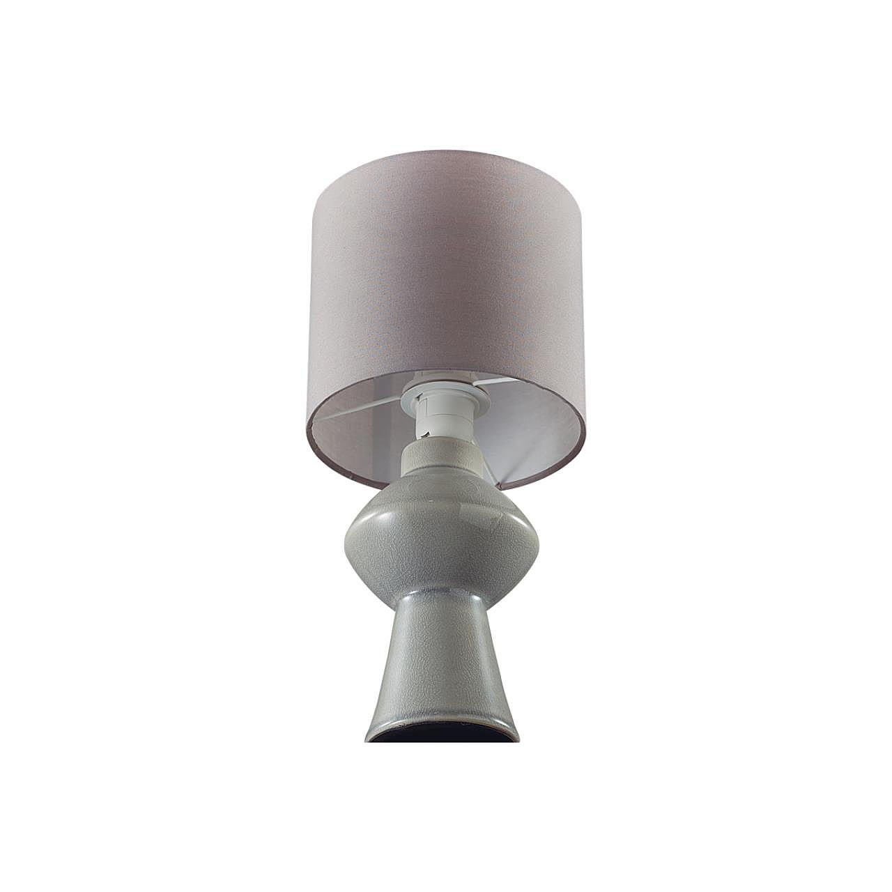 8129/1T Настольная лампа Lumion Segi 8129/1T