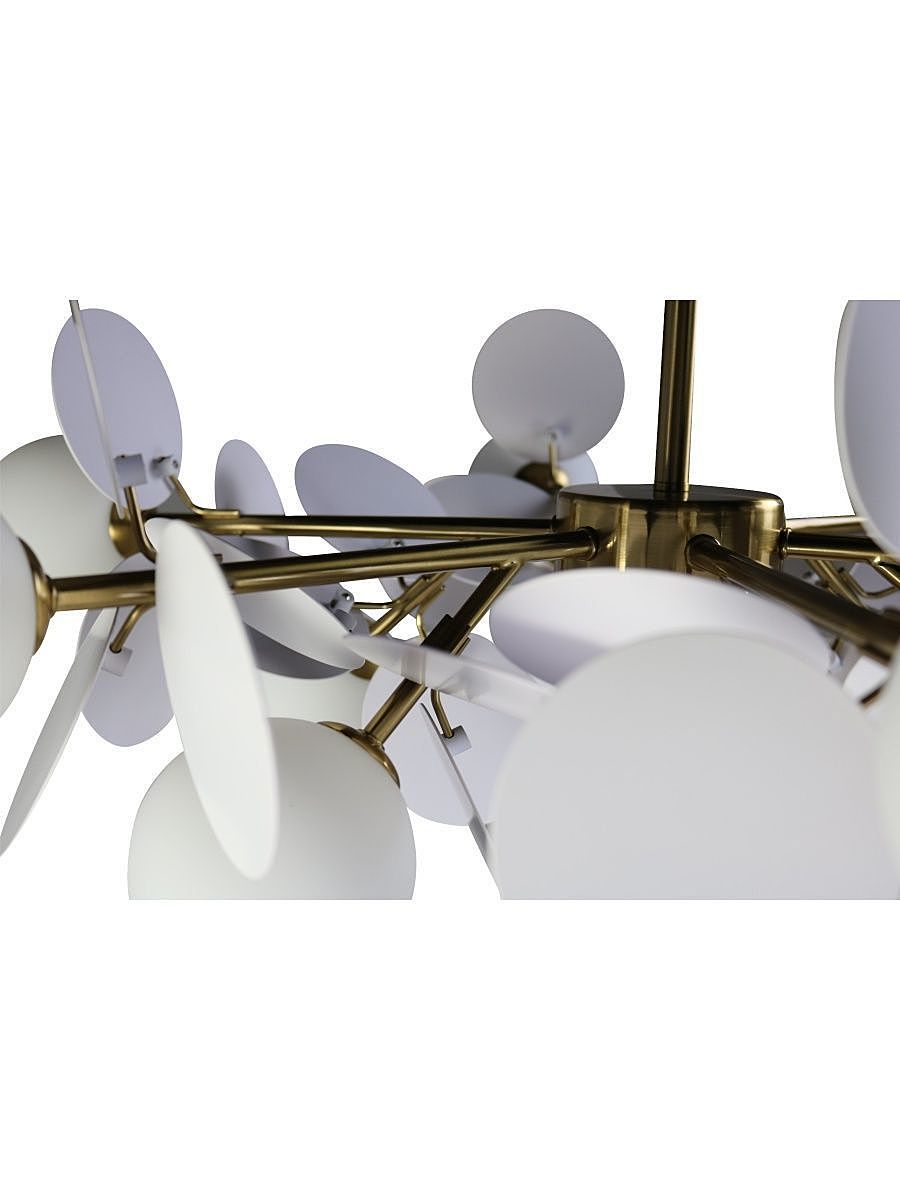 Потолочная люстра Zortes Floret ZRS.01201.12