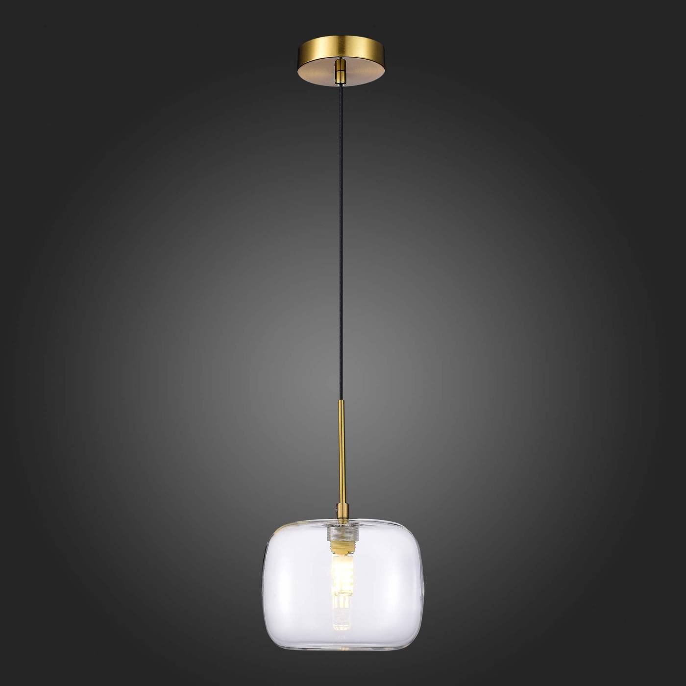 Светильник подвесной ST Luce Finn SL1049.303.01