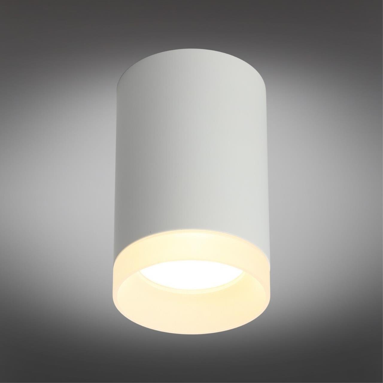 OML-100709-01 Накладной светильник Omnilux Rotondo OML-100709-01