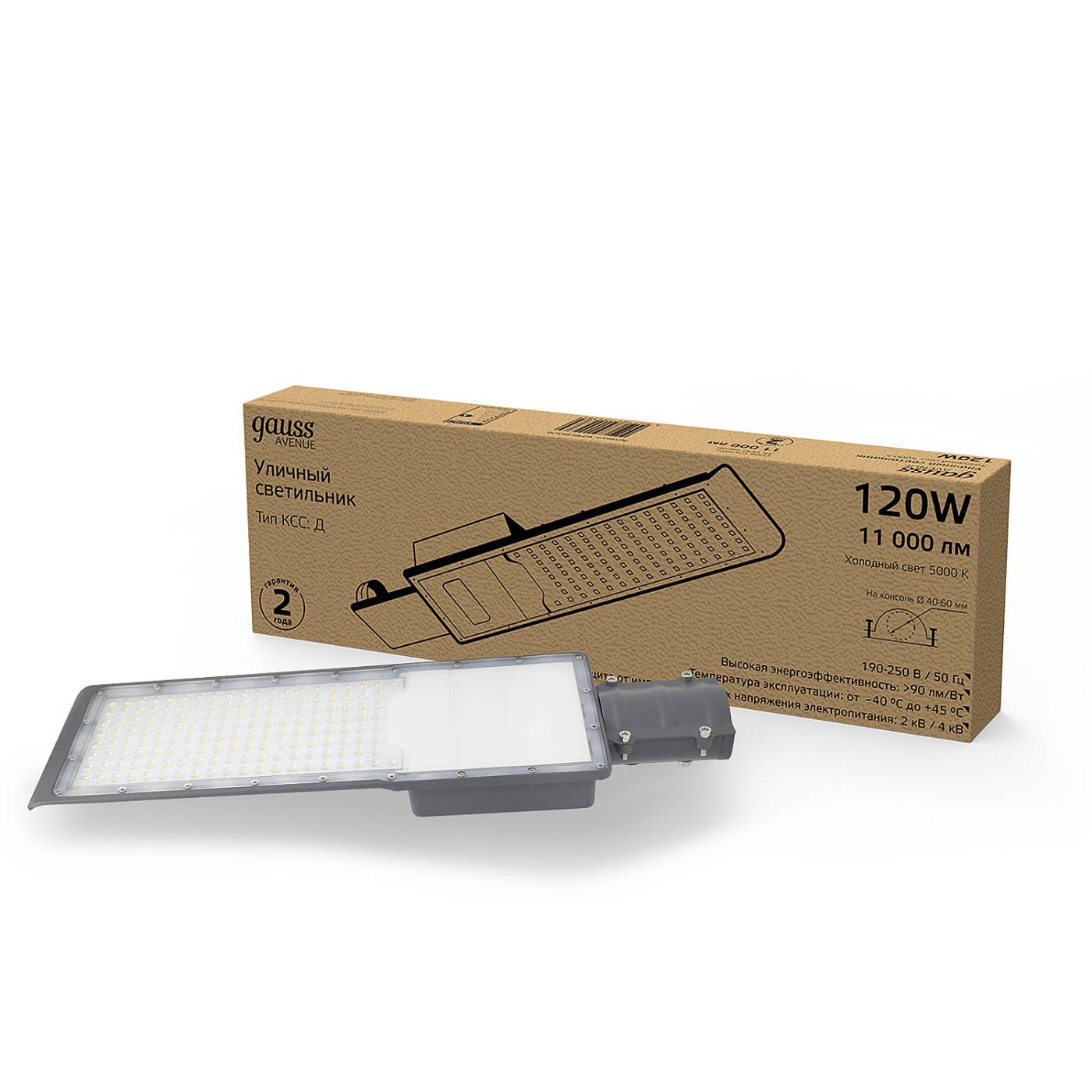 Консольный уличный светильник Gauss Avenue Д 5000 629536320