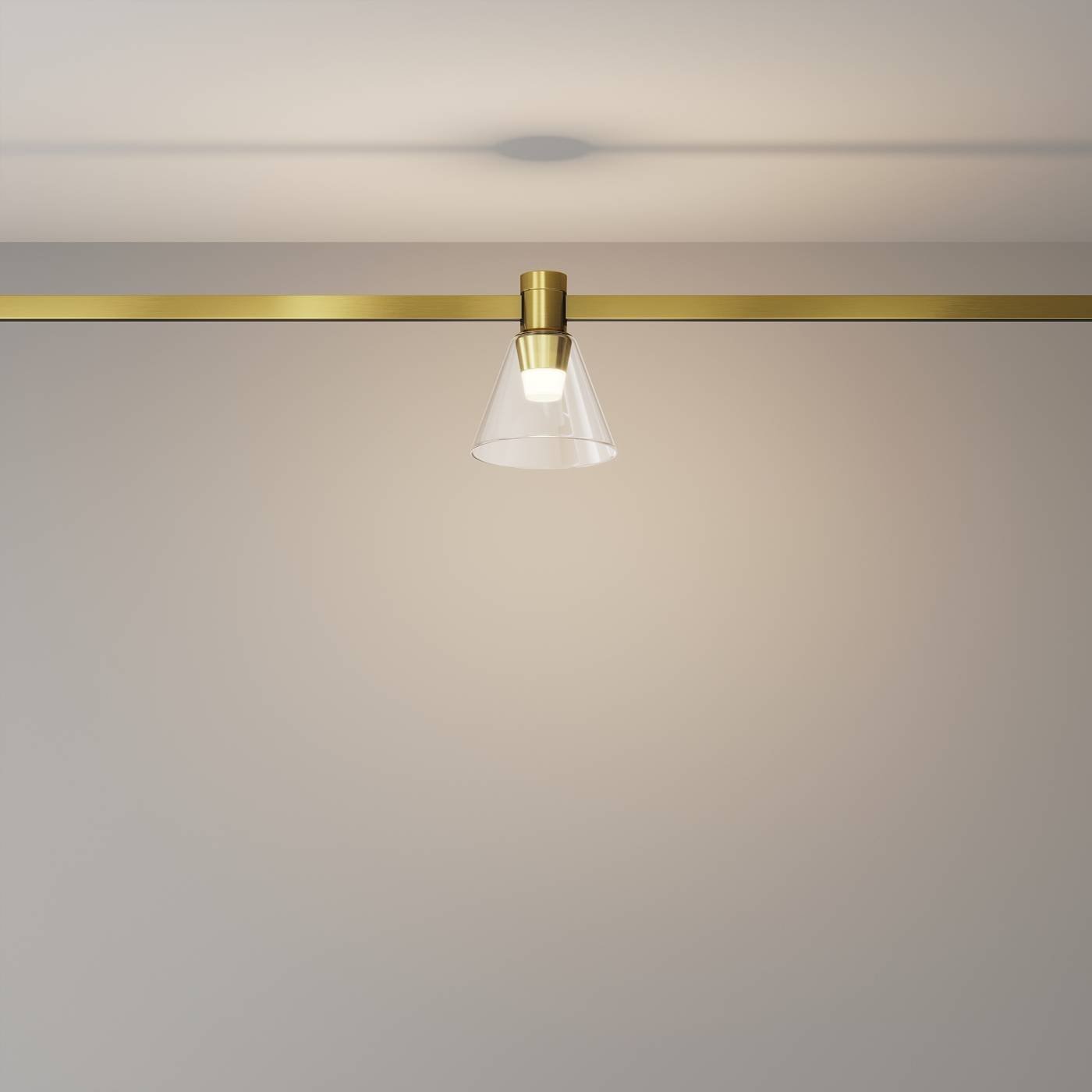 Трековый светильник Maytoni Bianca TR147-1-3W3K-BS