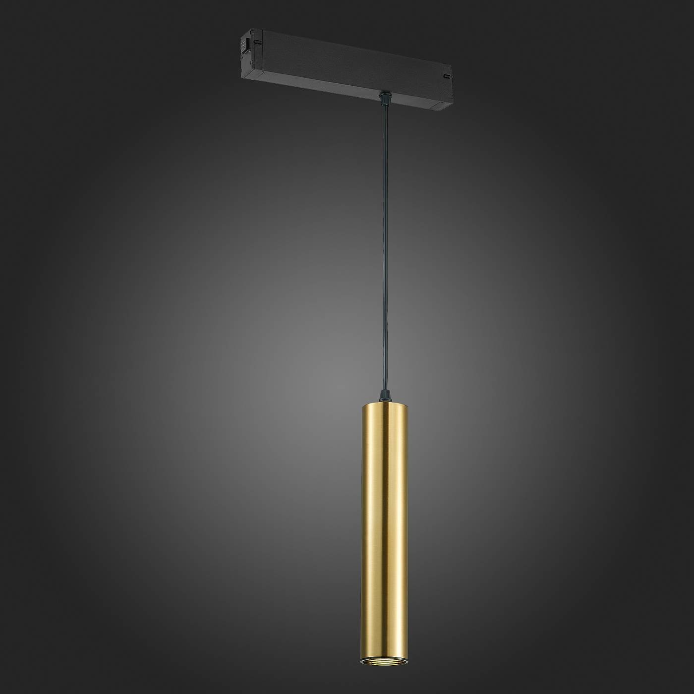 ST507.303.01 Трековый светильник ST Luce Skyline 220 ST507.303.01