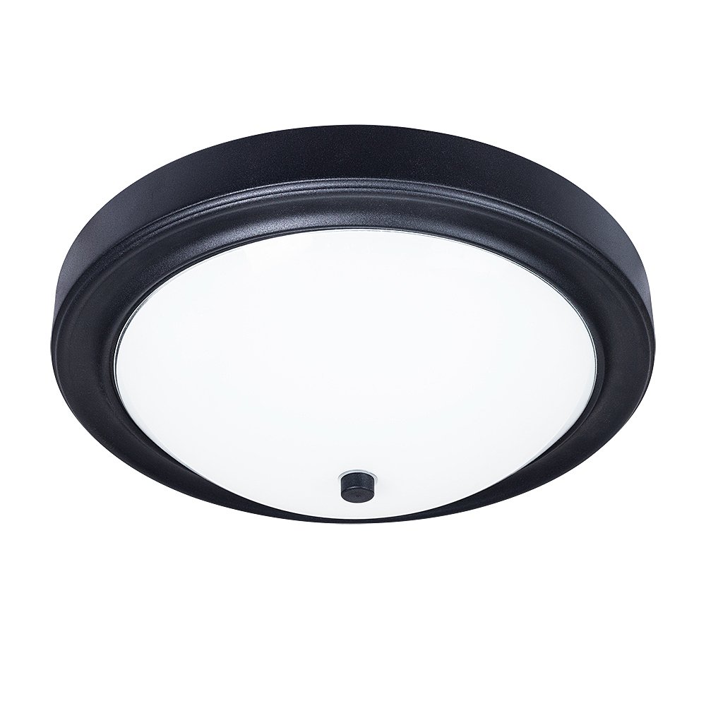 A4049PL-3BK Светильник потолочный Arte Lamp James A4049PL-3BK