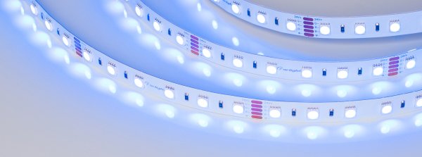 019096(2) LED лента Arlight RT открытая 019096(2)