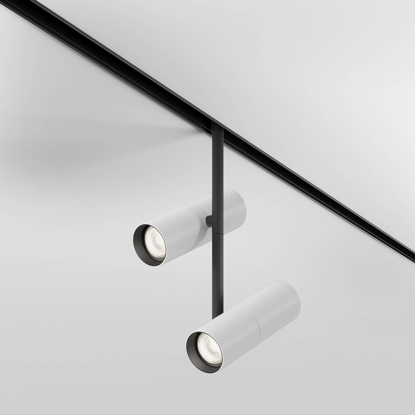 TR005-4-2X12W-DS-BW Трековый светильник Maytoni Elti Duo Exility TR005-4-2X12W-DS-BW