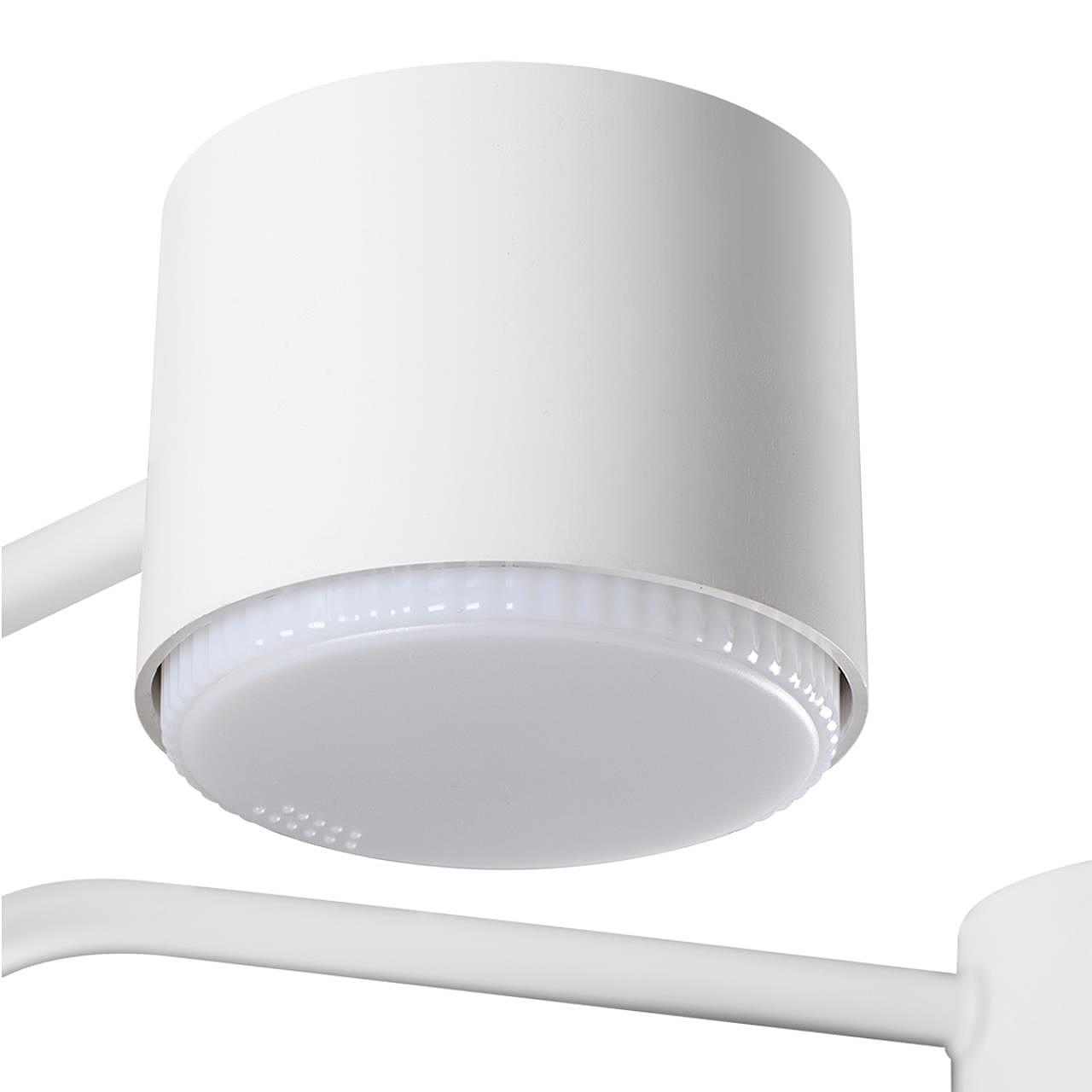 8231/6C Потолочная люстра Lumion Rondo 8231/6C