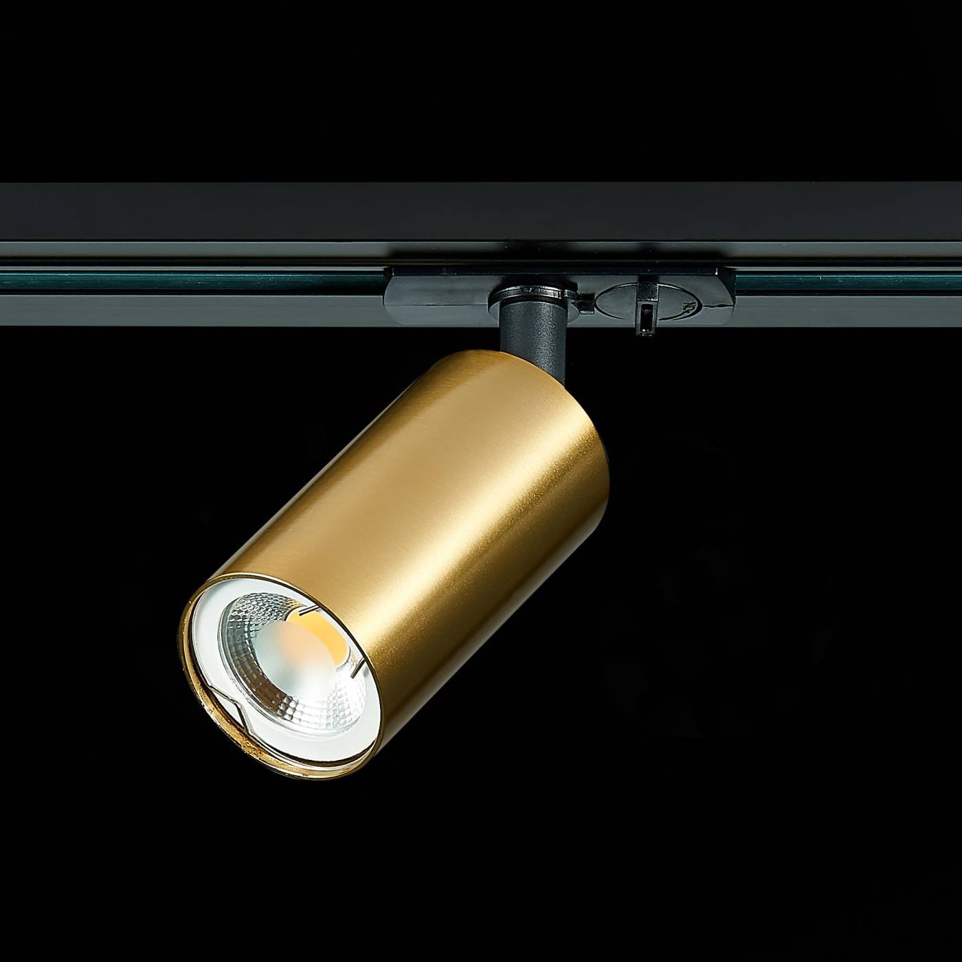 ST300.206.01 Трековый светильник ST Luce ST300 ST300.206.01