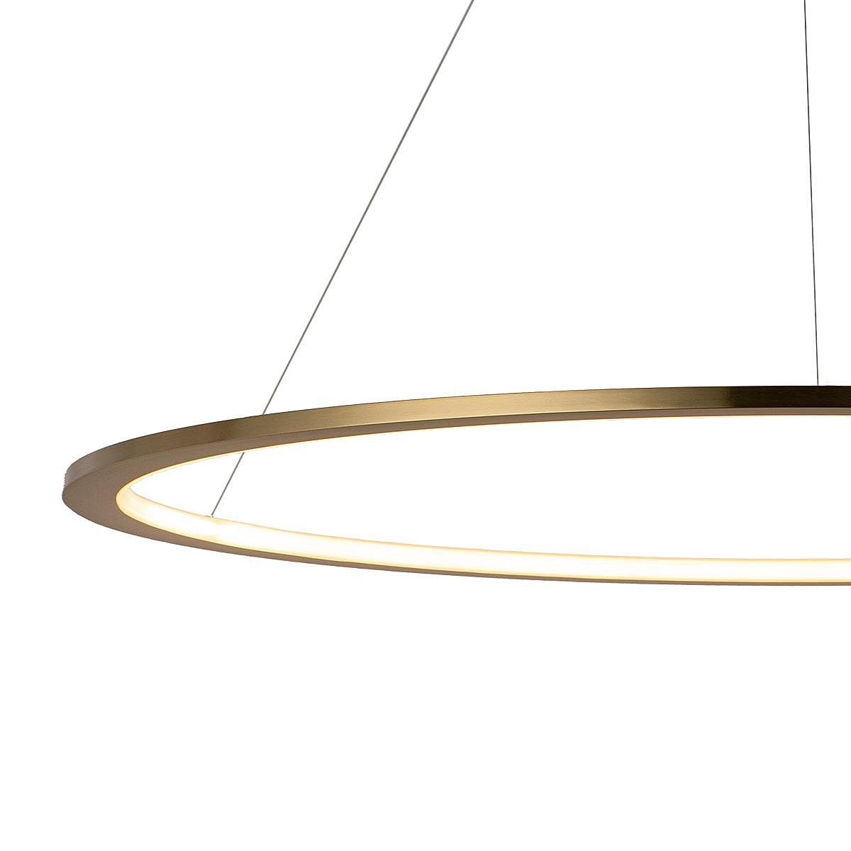 10014L Светильник подвесной Loft It Ring 10014L