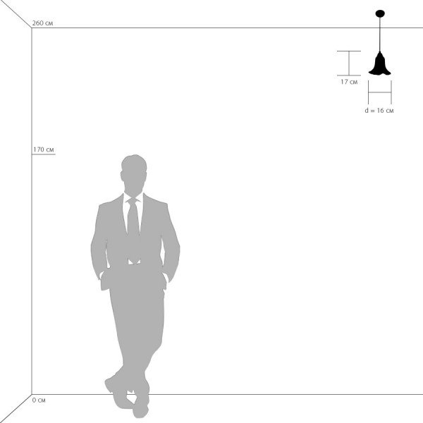 796014 Светильник подвесной Lightstar Colore 796014