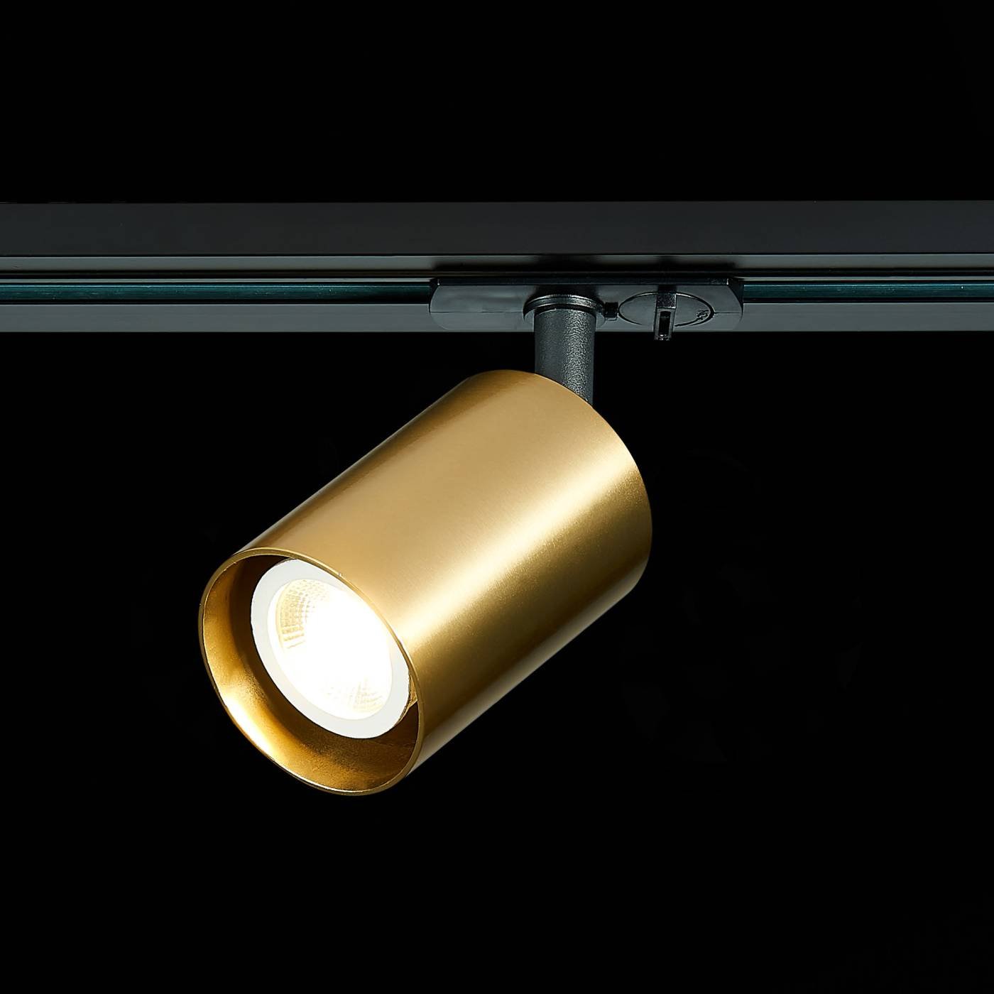 ST302.206.01 Трековый светильник ST Luce ST302 ST302.206.01
