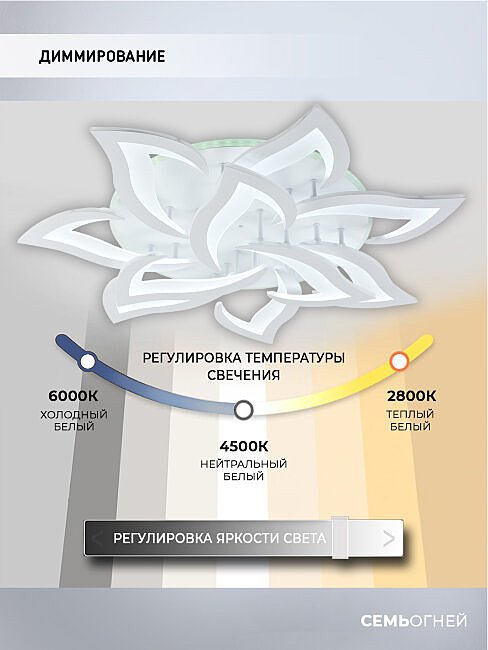SF5018/11C-WT-RGB Потолочная люстра Seven Fires Lorens SF5018/11C-WT-RGB