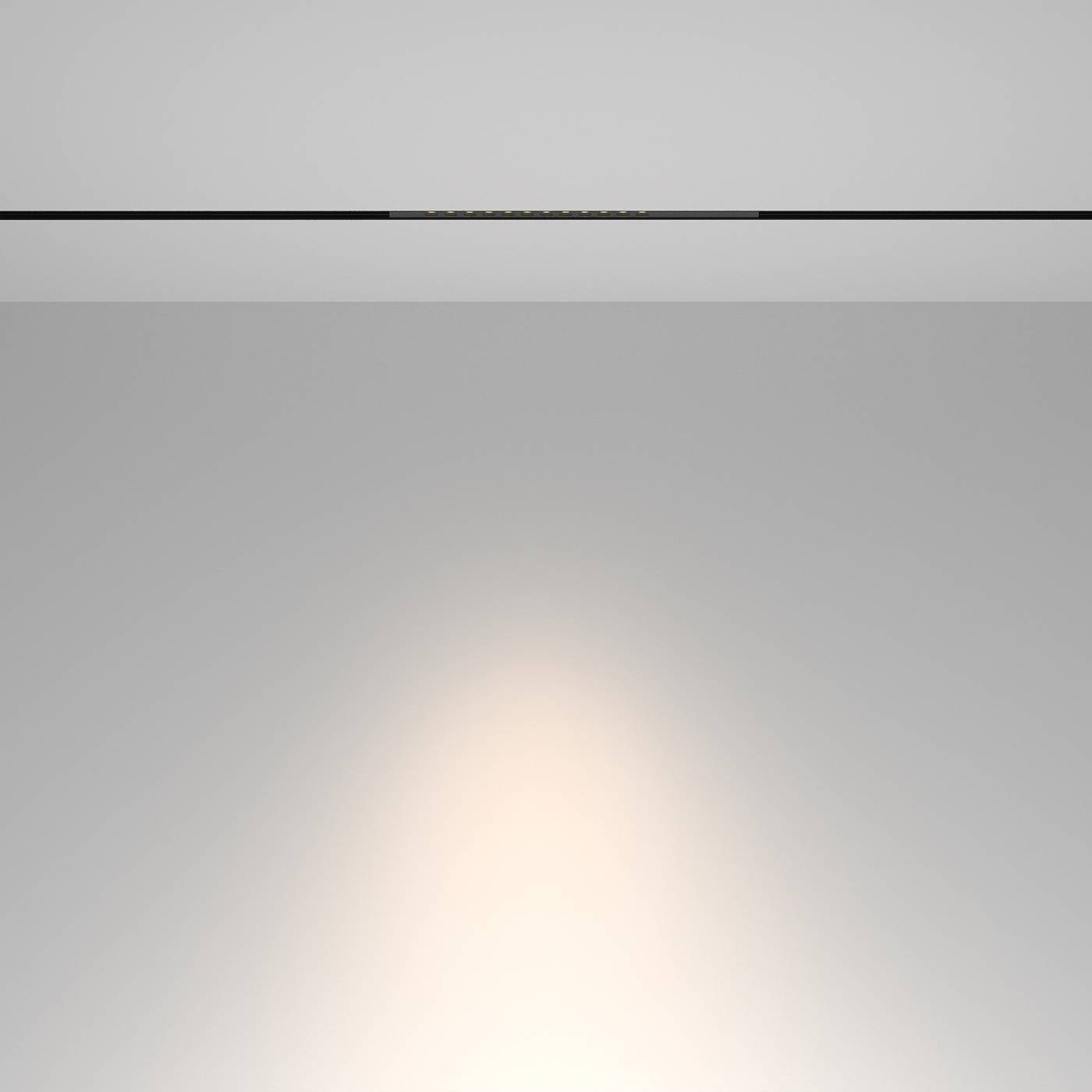 Трековый светильник Maytoni Points TR232-2-10W4K-B