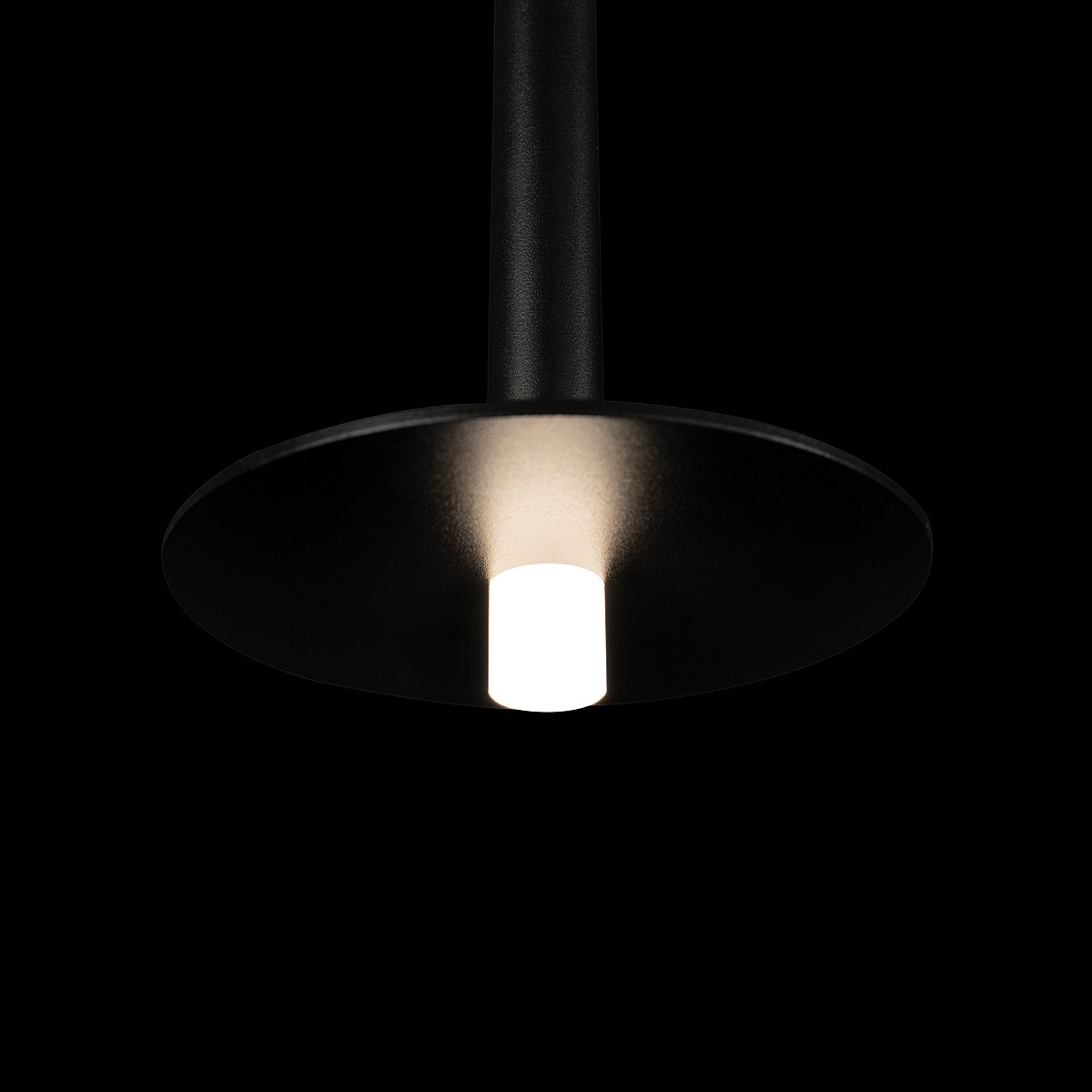 10358/830 Disk Светильник подвесной Loft It Reed 10358/830 Disk