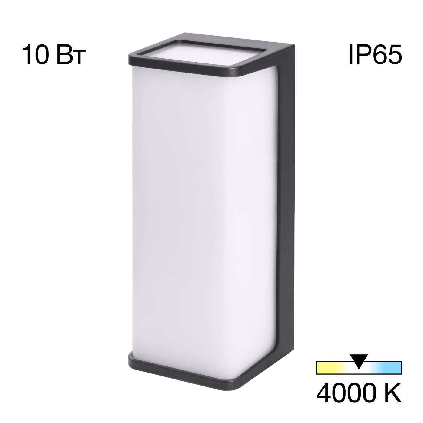 CLU0802 Уличный настенный светильник Citilux Domus CLU0802