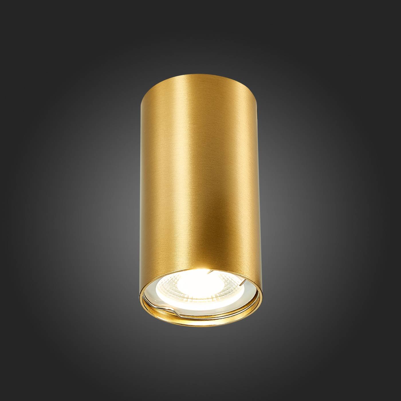 Накладной светильник ST Luce ST110 ST110.207.01