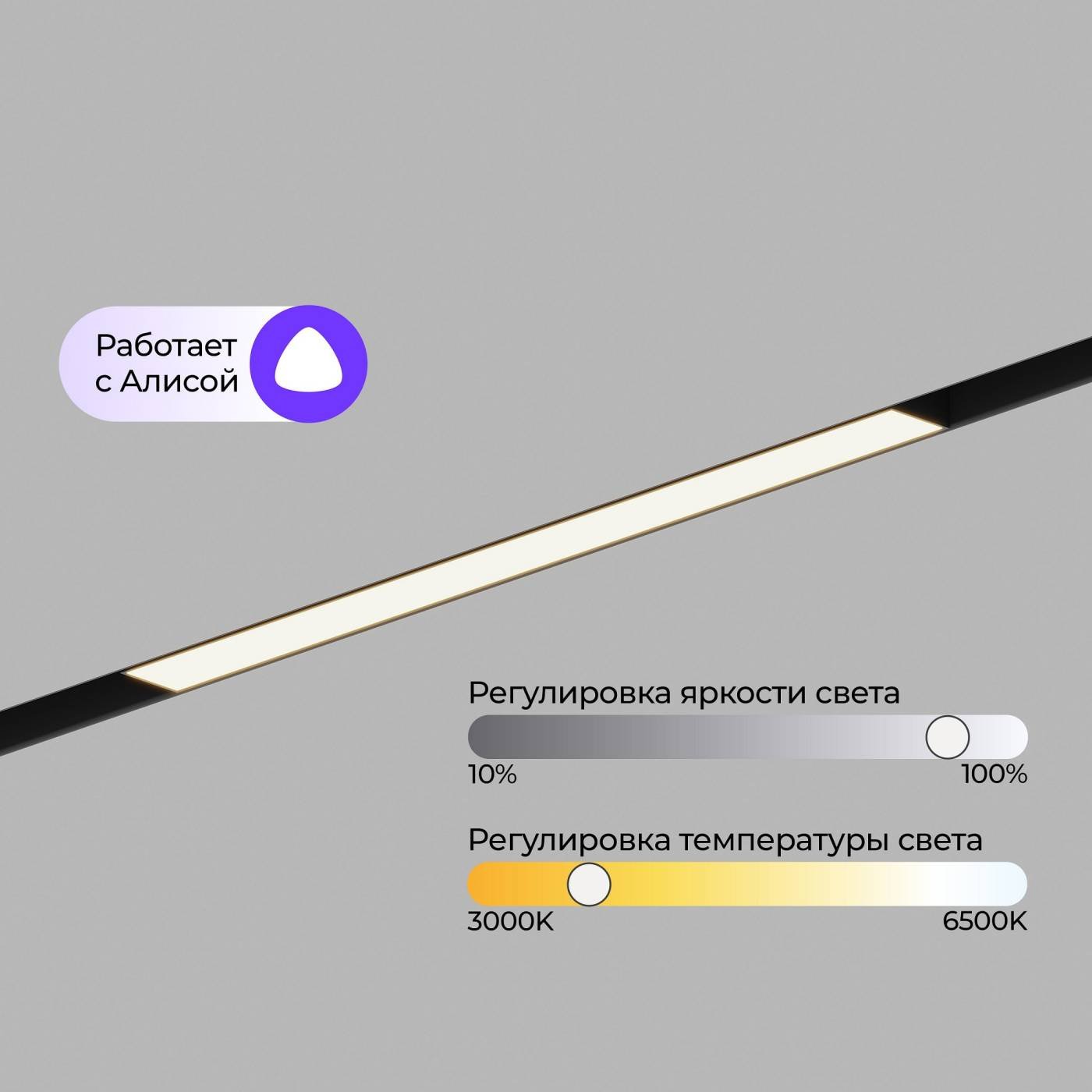 Трековый светильник ElDeko Hesby Lighting HSBL_0236