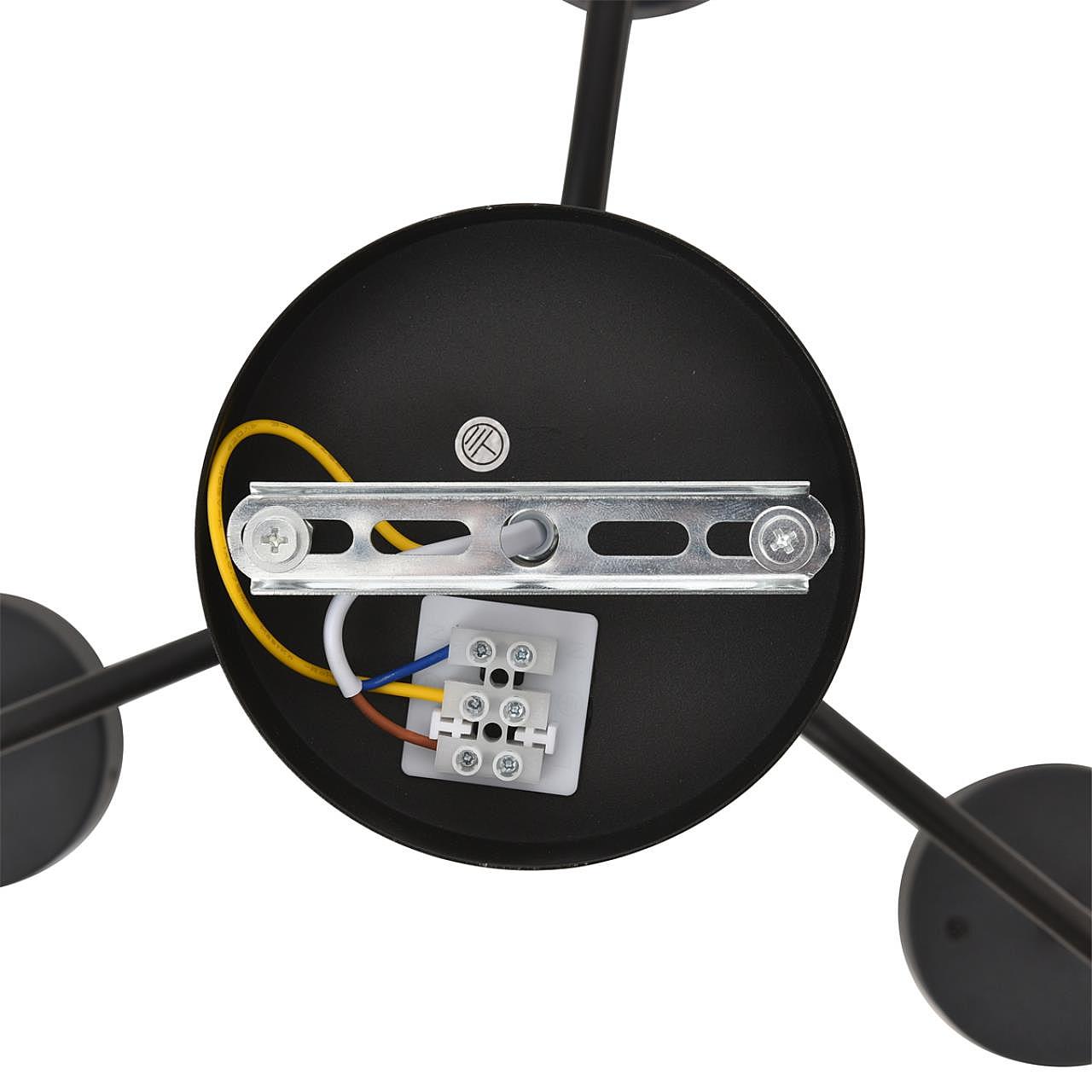 Потолочная люстра Lumion Natalina 8349/6C