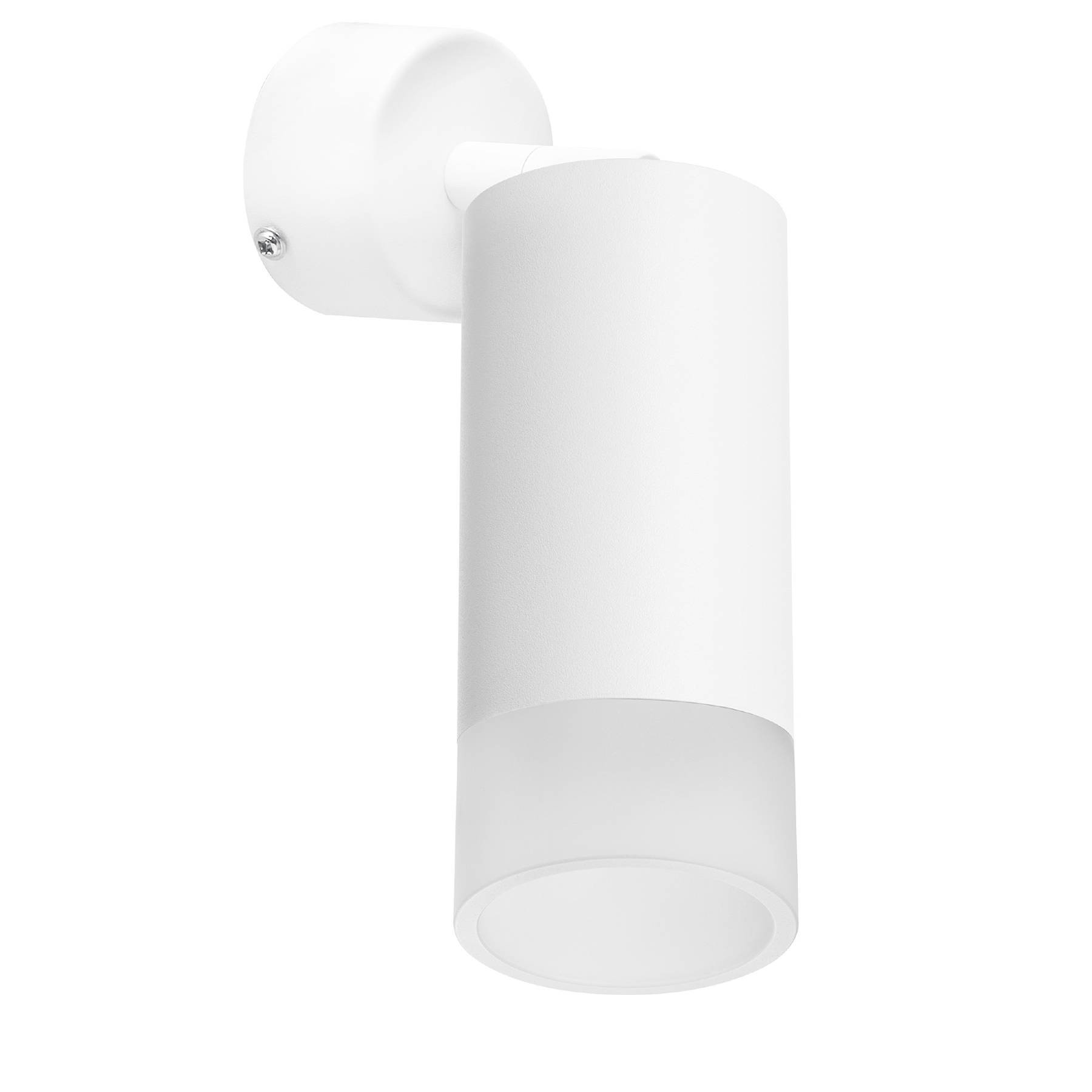 RB43631 Светильник спот Lightstar Rullo RB43631