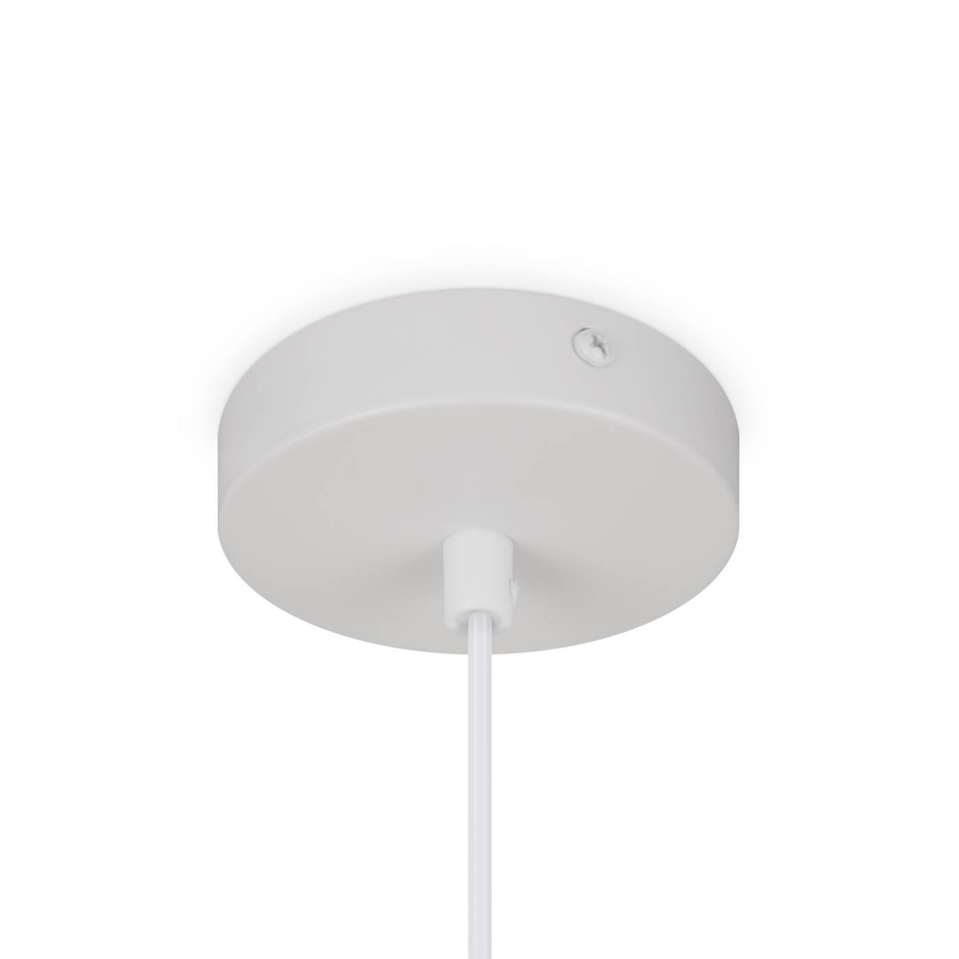 Светильник подвесной Freya Moth FR5392PL-01W