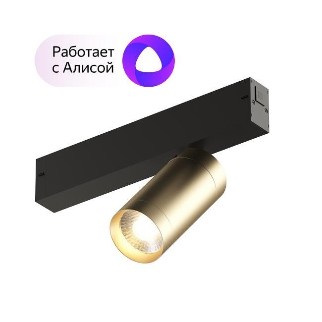 DK8010-BG Трековый светильник Denkirs Smart Spot DK8010-BG