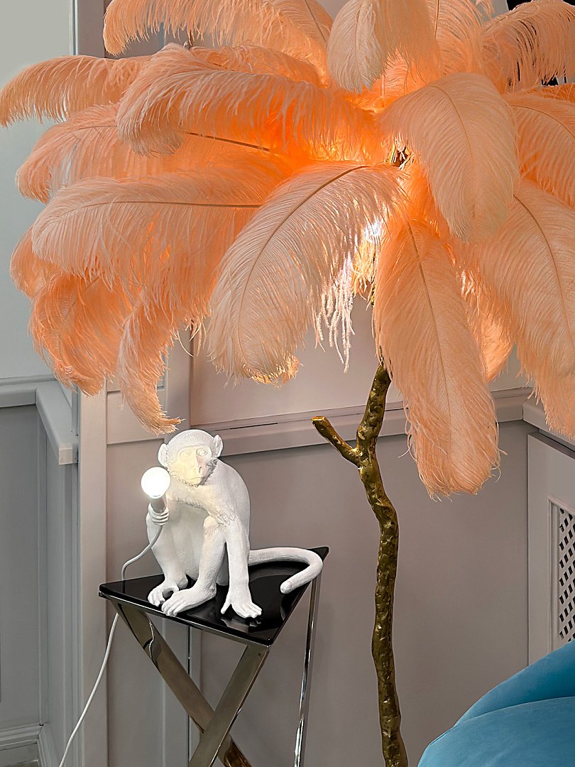 BRFL5014 pink/antique brass Торшер Delight Collection Ostrich Feather BRFL5014 pink/antique brass