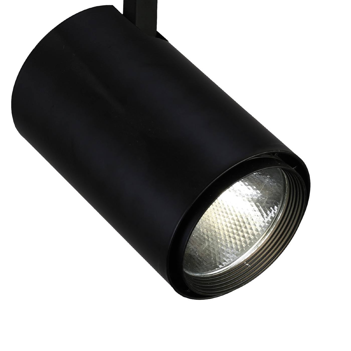 Светильник спот Favourite Projector 1772-1U