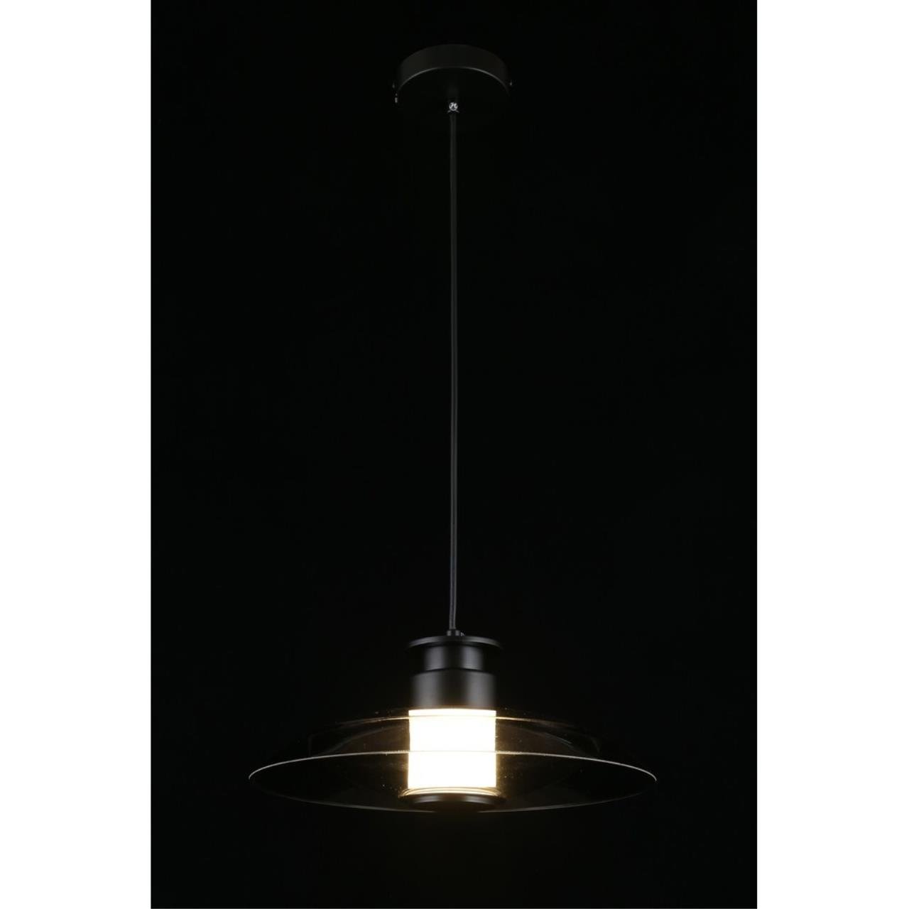 Светильник подвесной Aployt Stefa APL.648.06.10