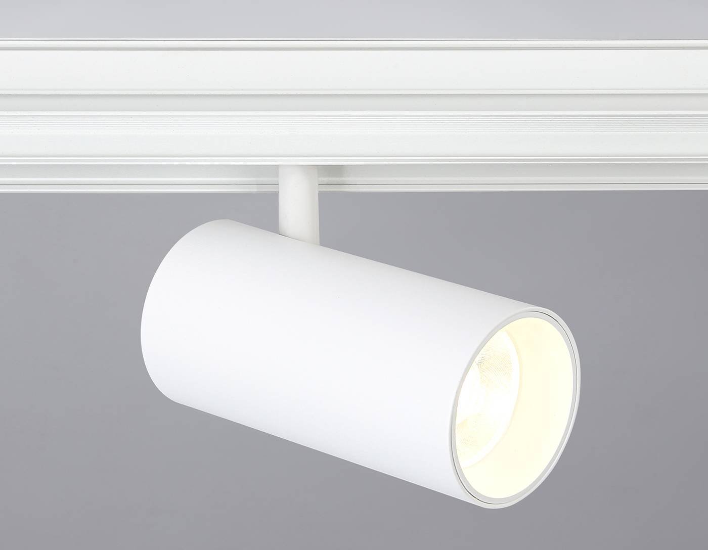 Трековый светильник Ambrella Track System GL3838