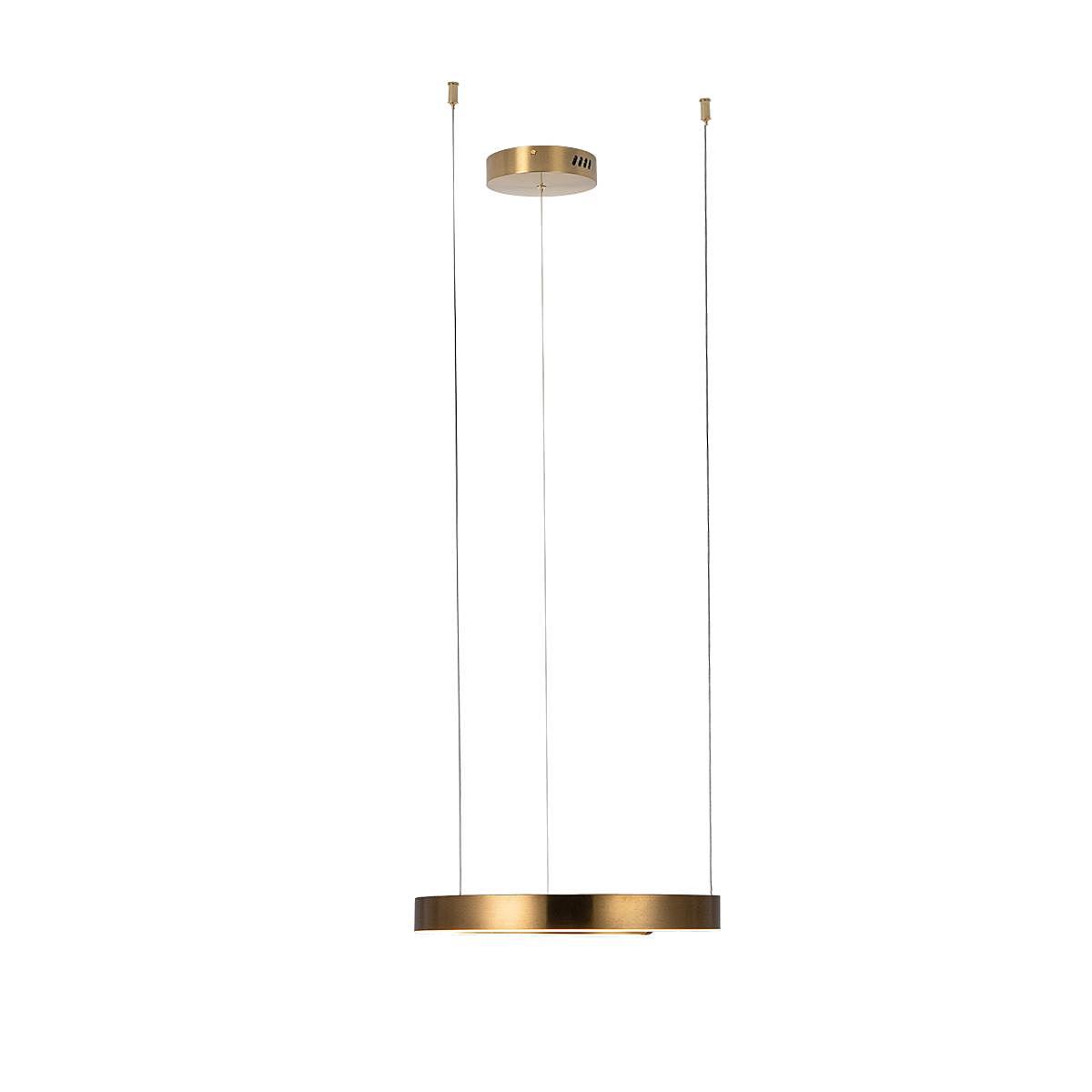 10013S Светильник подвесной Loft It Ring 10013S