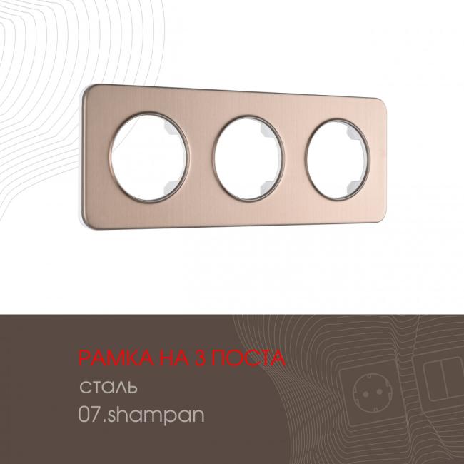502.07-3.shampan Рамка Arte Milano Am-502.07 502.07-3.shampan