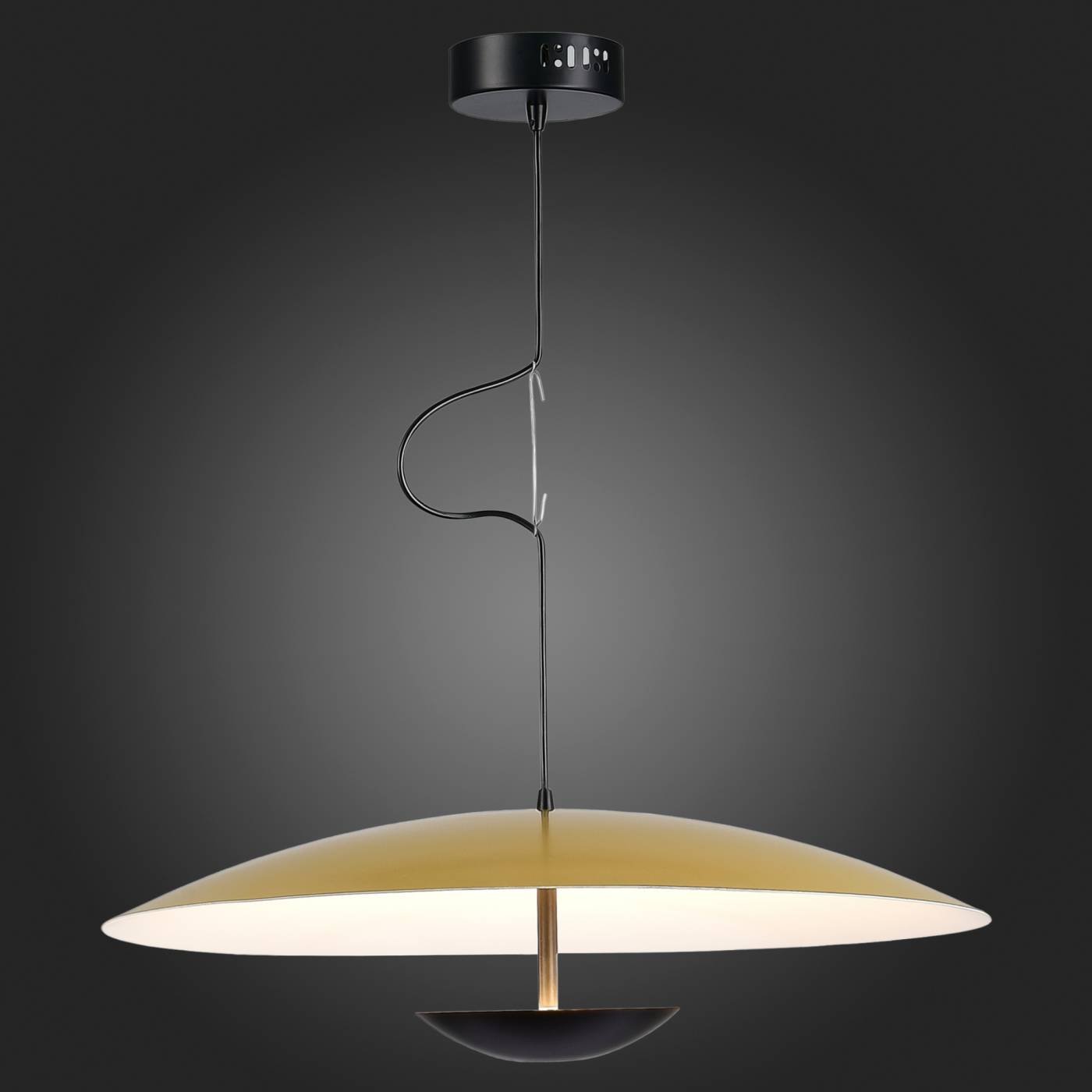 Светильник подвесной ST Luce Armonico SL6502.213.01