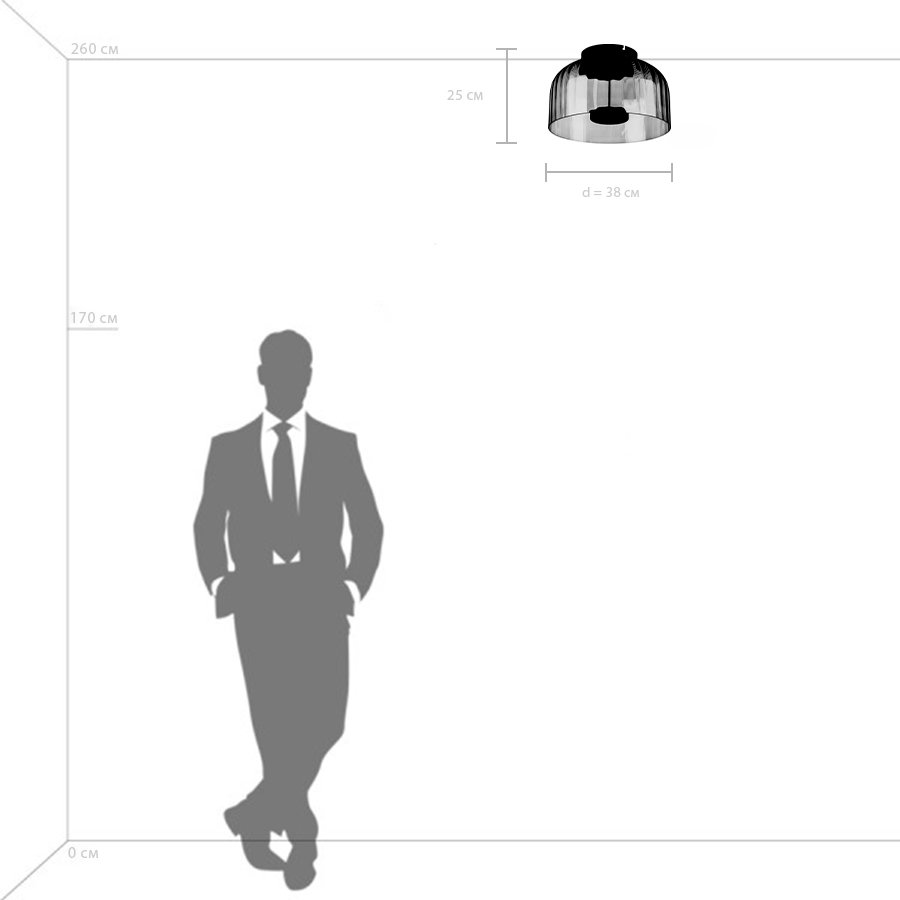 Светильник потолочный Lightstar Celesta 809062