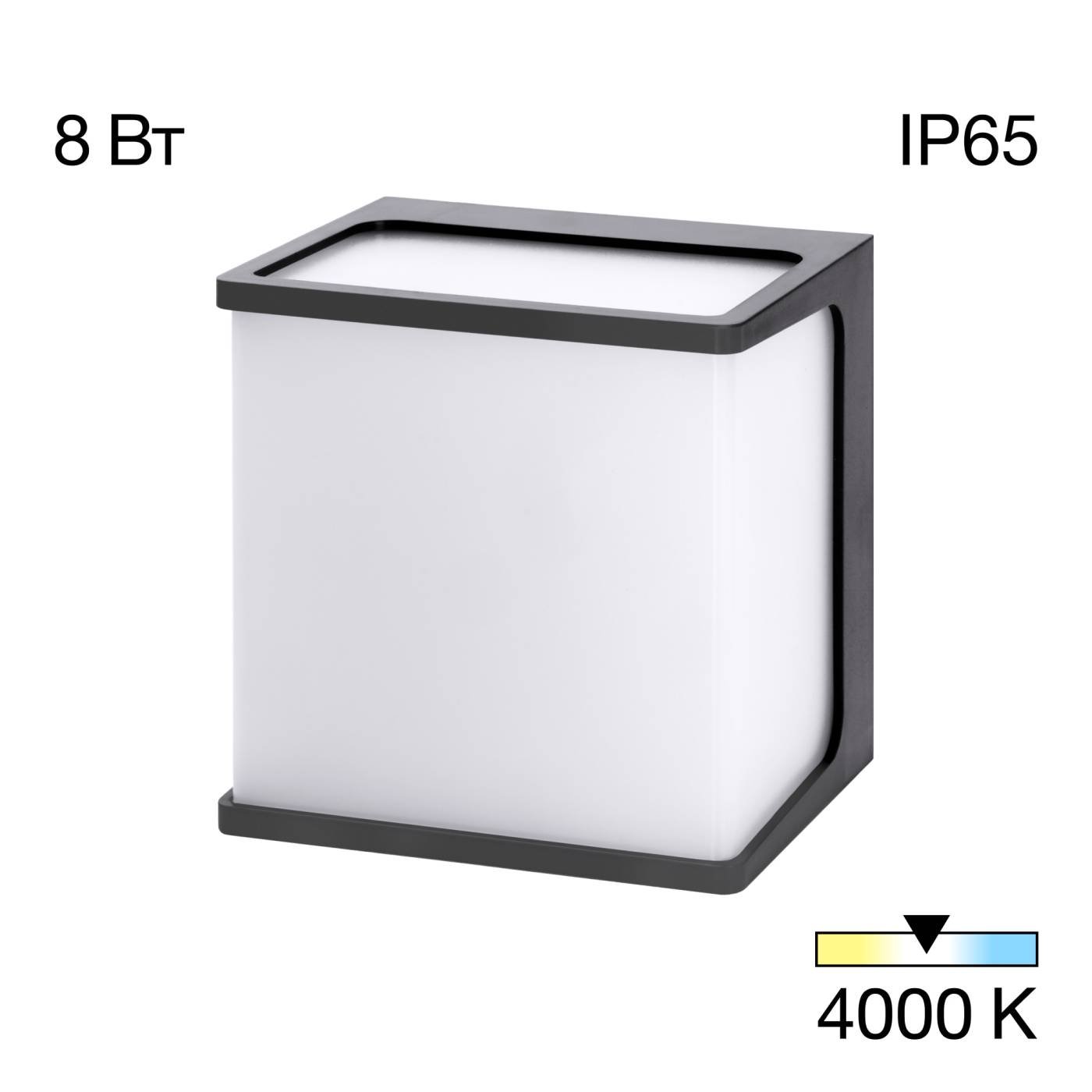 CLU0801 Уличный настенный светильник Citilux Domus CLU0801