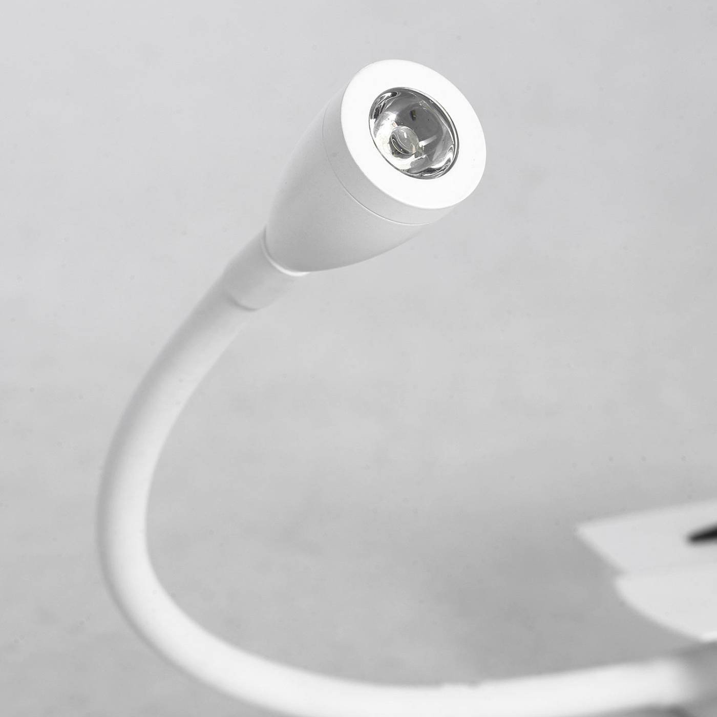 LSP-8234V Настенное бра Lussole Cozy LSP-8234V