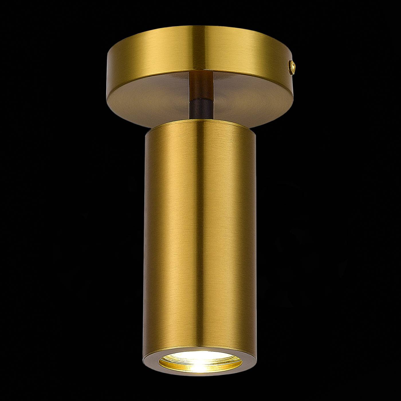 Накладной светильник ST Luce Talia SL1215.402.01