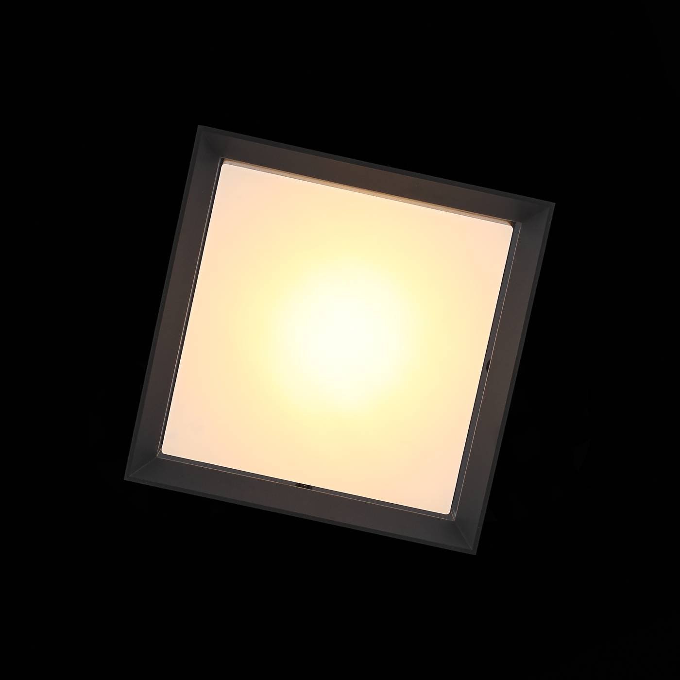 SL077.402.01 Уличные потолочные ST Luce Cubista SL077.402.01