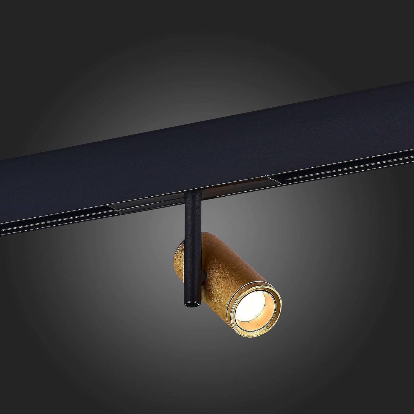 ST808.236.08 Трековый светильник ST Luce Functional ST808.236.08