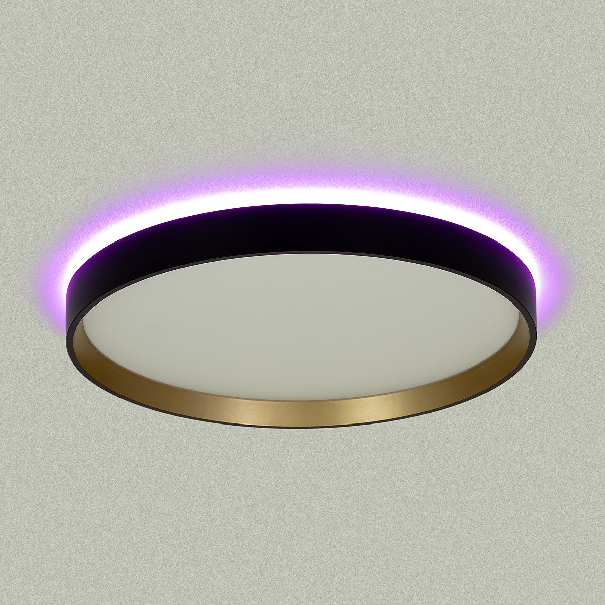 Светильник потолочный Citilux Etalon CL750321R