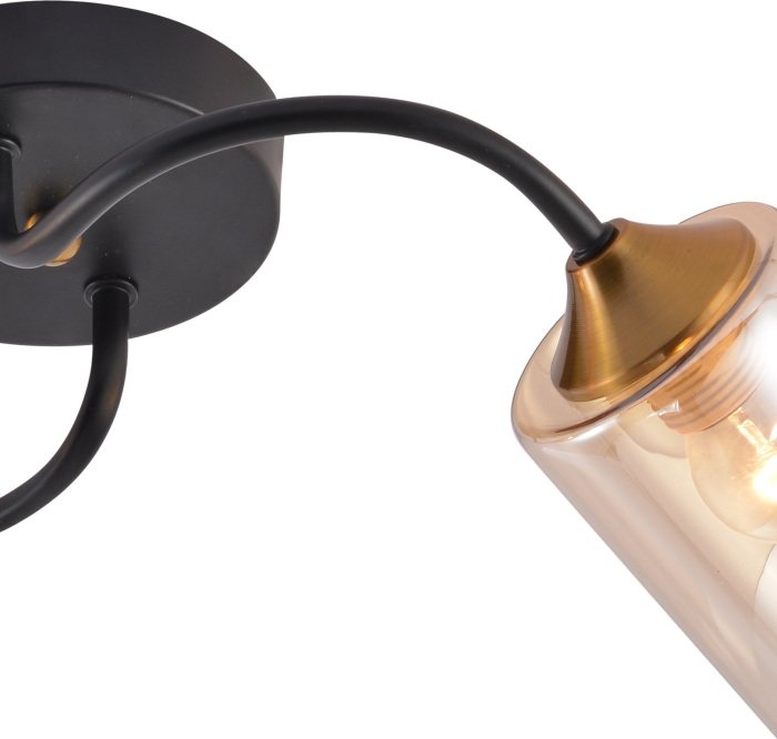 Потолочная люстра 01608-0.3-02 BK+BRASS