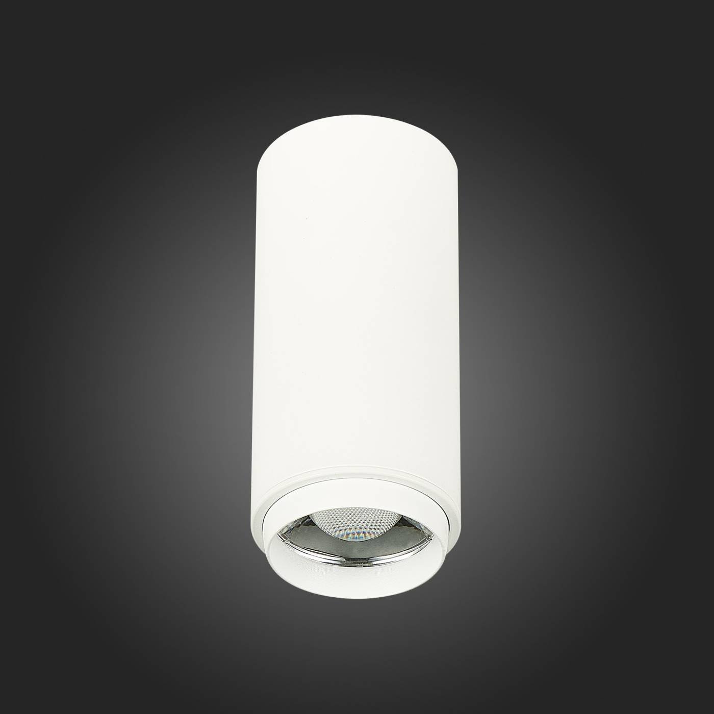 Накладной светильник ST Luce Zoom ST600.532.10