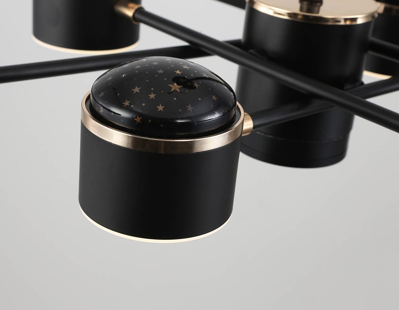 FL51629 Потолочная люстра Ambrella LineTech FL51629