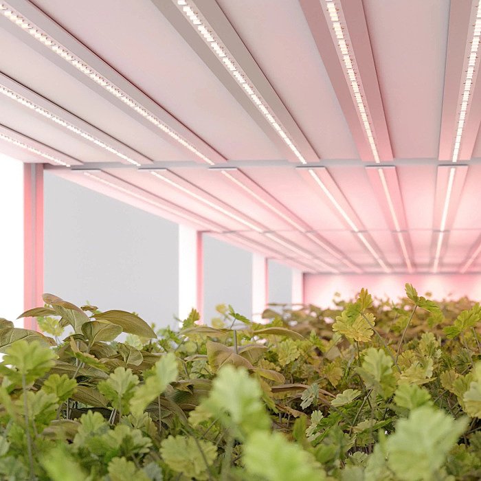 Светодиодная лента Arlight Fito 045214