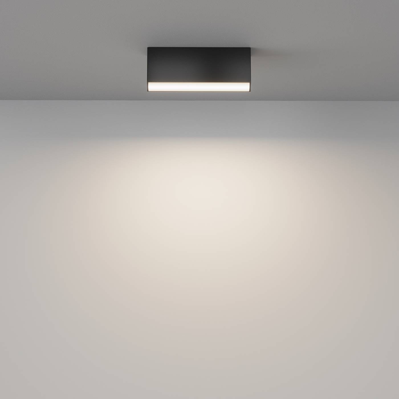 Светильник потолочный Maytoni Basis C068CL-12W3-6K-B