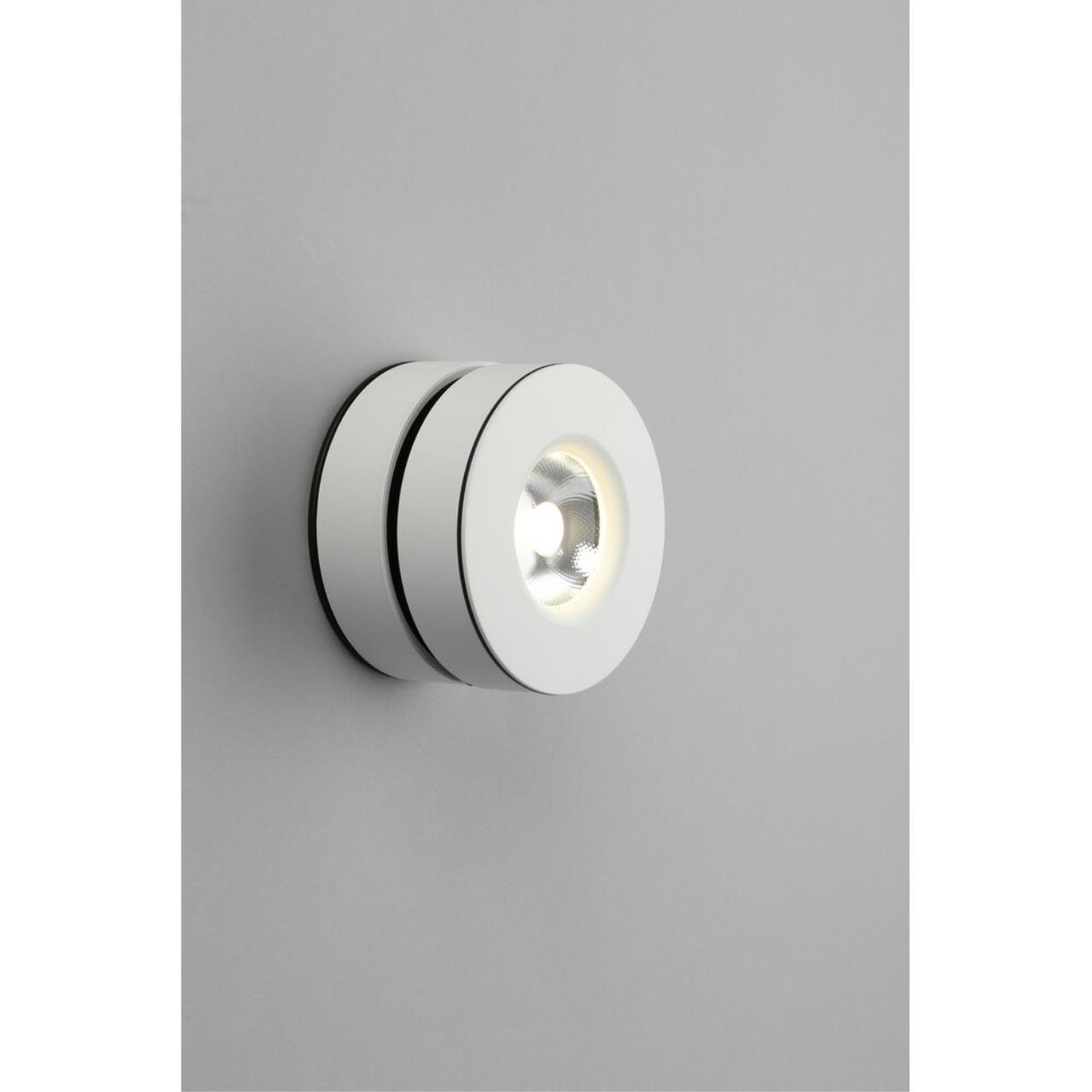 OML-101909-12 Накладной светильник Omnilux Borgetto OML-101909-12