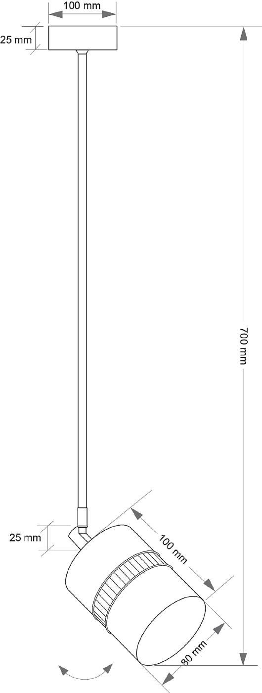 Светильник потолочный Kutek Vesto VES-ZW-1(ZM)P